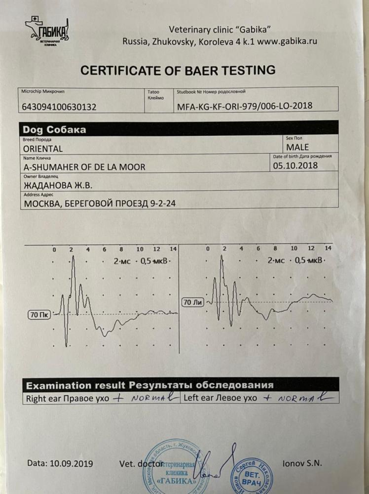 BAER-тест