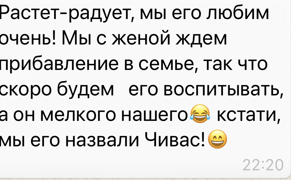 Отзыв