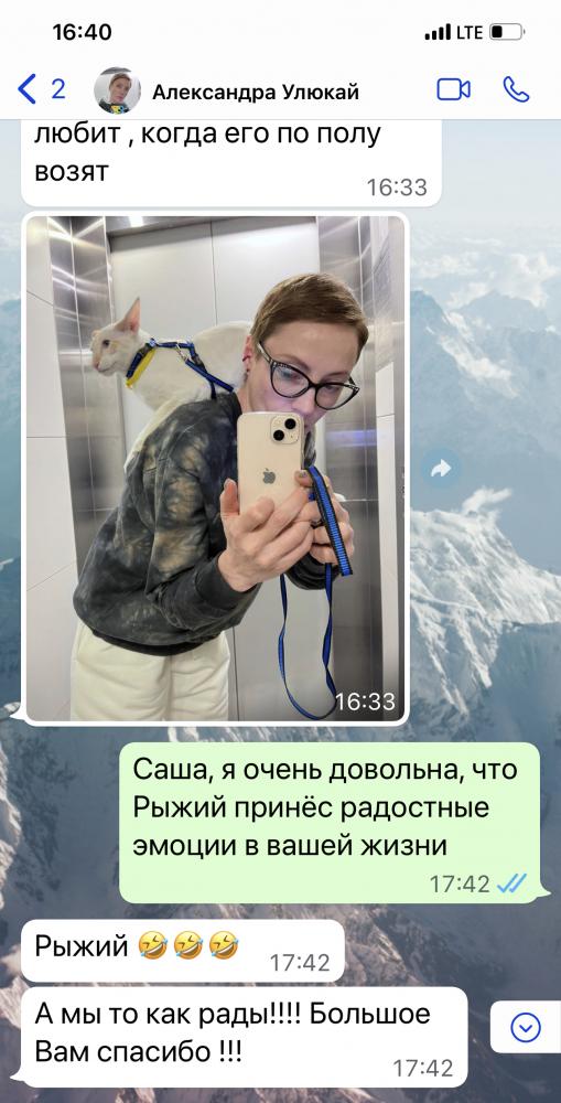Отзыв