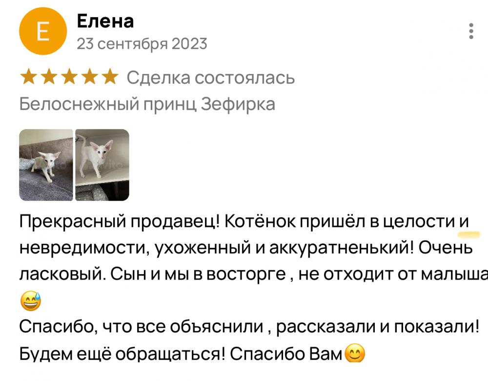 Отзыв